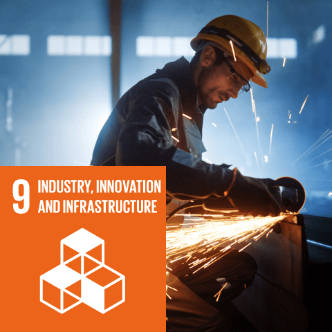 Industry, innovation and infrastructure