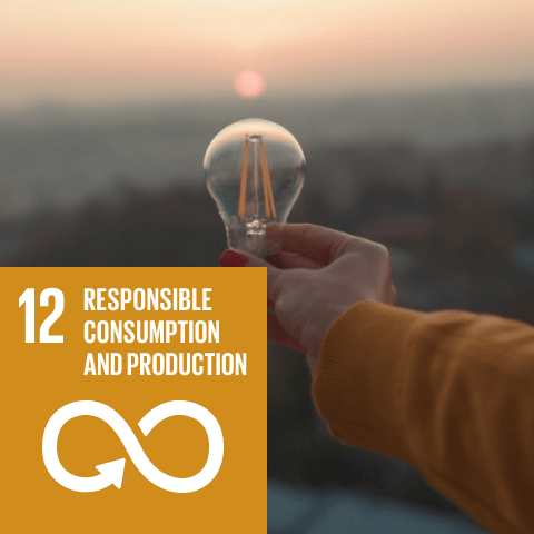 Responsible consumption and production